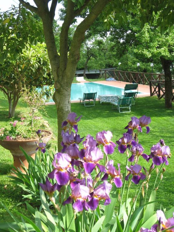 Agriturismo La Capitata Pian Di Sco ภายนอก รูปภาพ